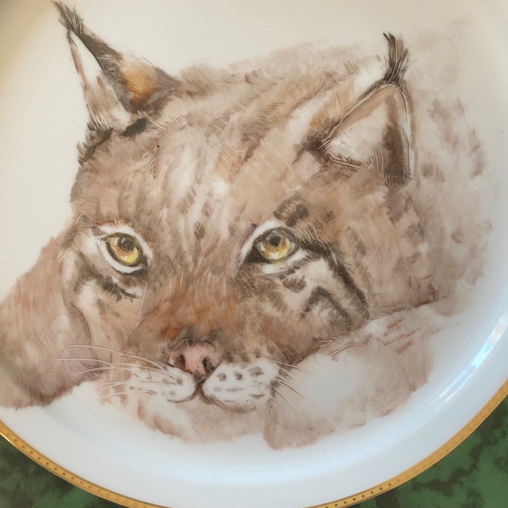 Lynx Plate signed Janet Bonds - Picture 2 of 3